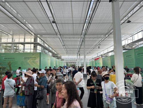 农博会之旅 探访科技小院，体验农业新质生产力与教育科技的融合